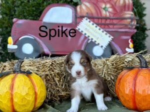 471162875_122200214486194352_1579499607643999527_n