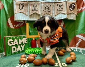 471163641_122200245716194352_7373312255366288511_n