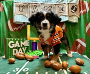 471168897_122200245764194352_5101162751625809055_n