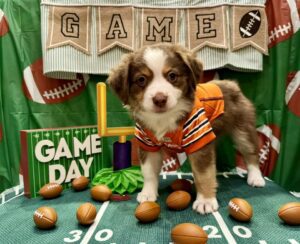 471188081_122200245710194352_7853223346536664487_n