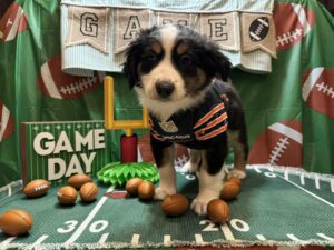 471188531_122200245770194352_4337282102563109577_n