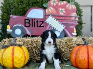 471193643_122200214036194352_4778712611609116953_n