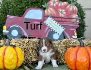 471199119_122200213874194352_4745054482541277076_n