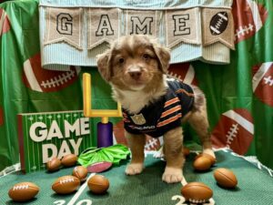 471199149_122200245686194352_3299754758024725665_n