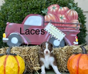 471207295_122200214516194352_7683491100183493758_n