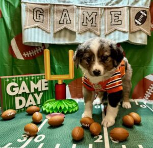 471254432_122200246148194352_8721185994027851290_n