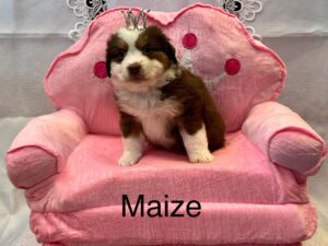 486824166_122219990486194352_4904024388467747506_n