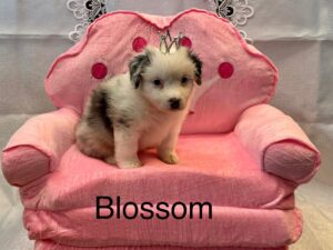 487334942_122219990372194352_5148971852920853324_n