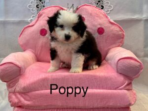 487340407_122219990408194352_6797964096362684821_n