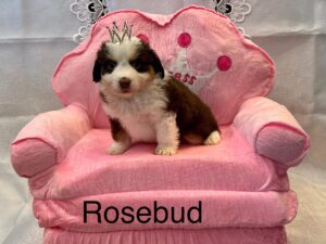 487392373_122219990576194352_8791548156547444309_n