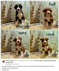 Screenshot 2025-04-05 175042